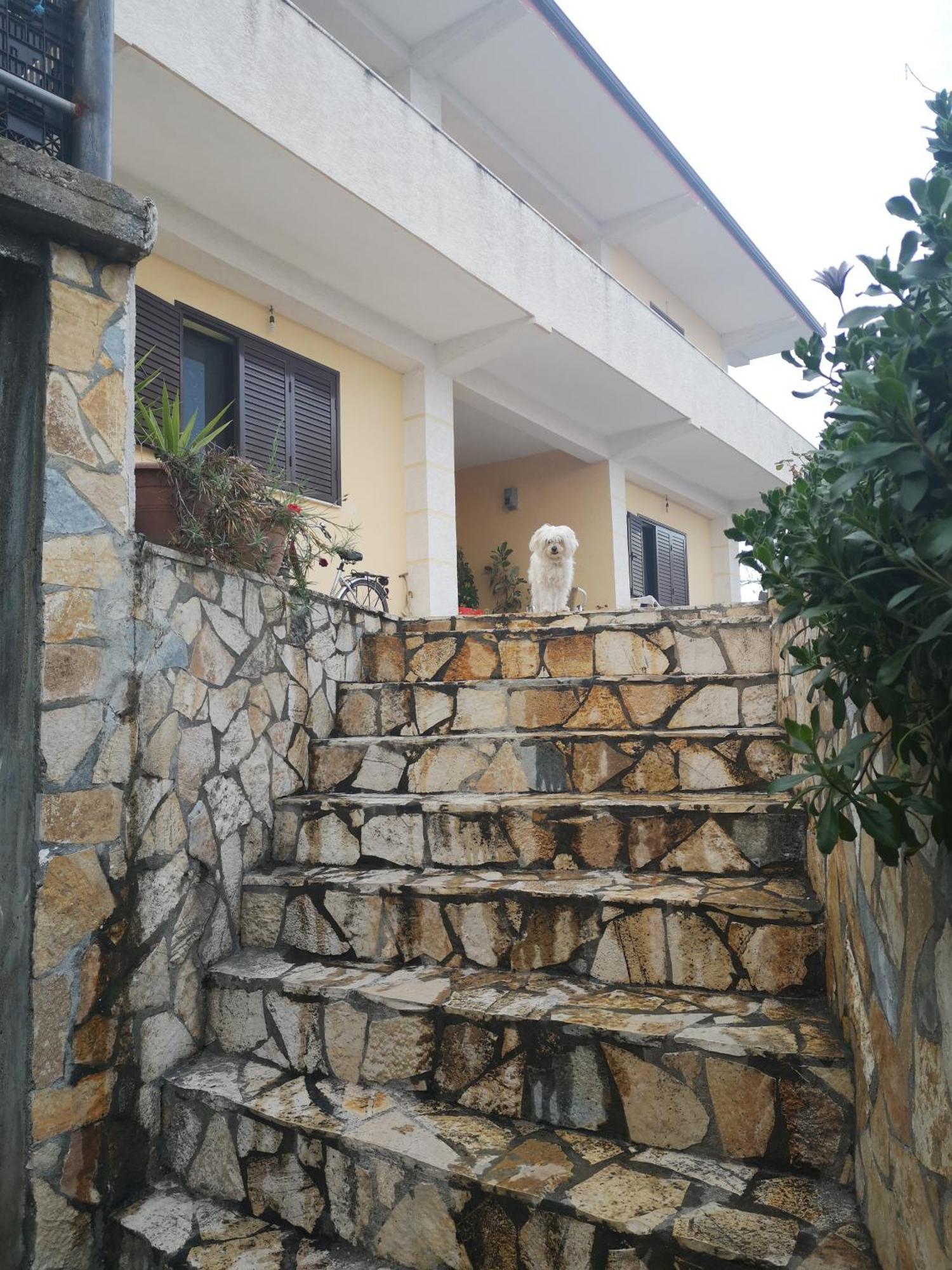 Villa Private House Durrës Zimmer foto